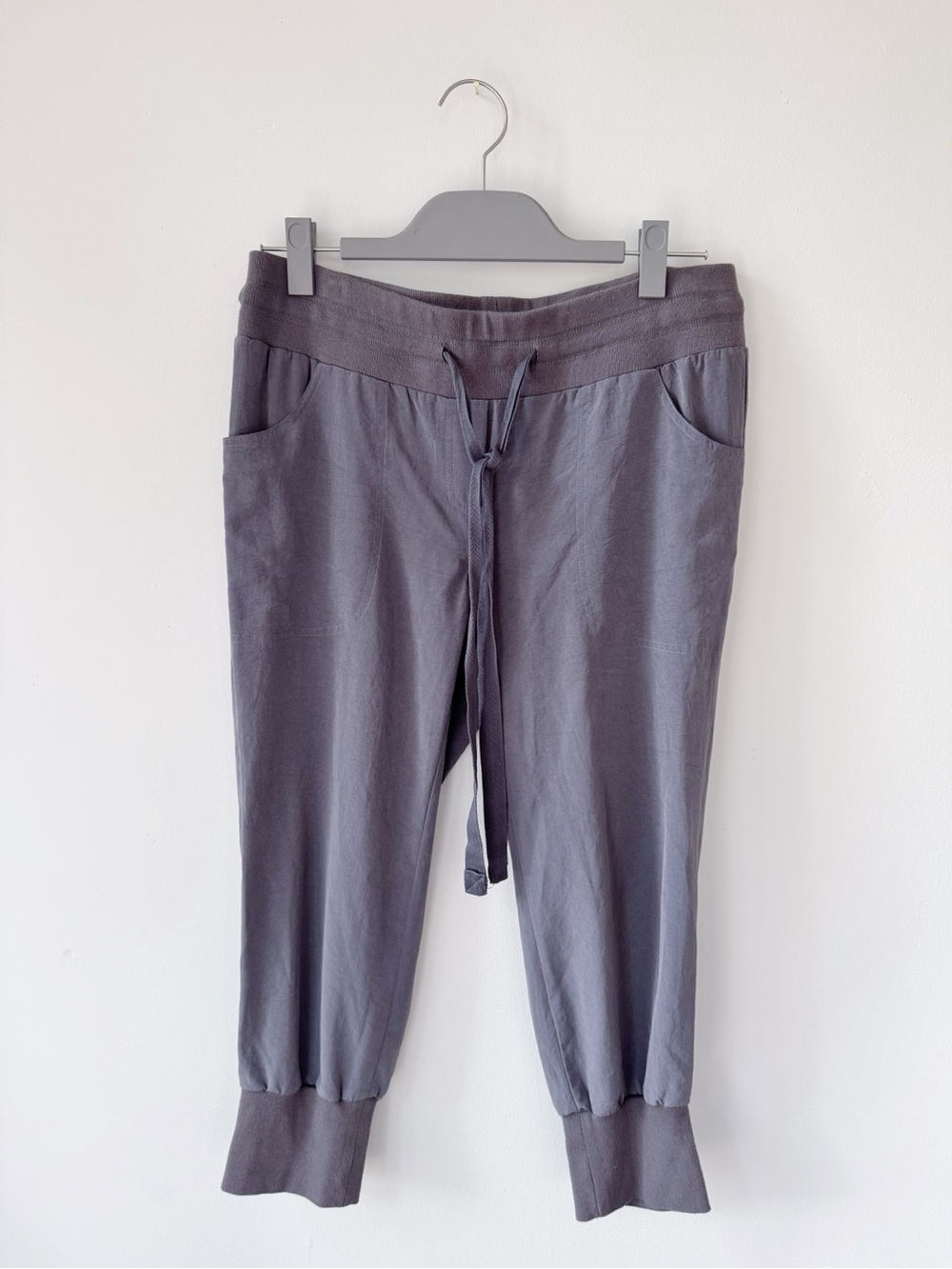 Elizabeth and James Lightweight Gray Joggers